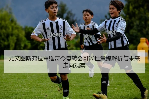 尤文图斯弗拉霍维奇今夏转会可能性意媒解析与未来走向观察